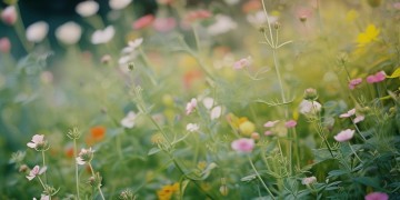 哪些歌曲节奏简单又好唱呢？