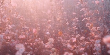 那首叫芭比的英文歌究竟是什么？
