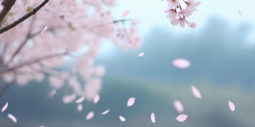 容颜容易老去出自哪首歌？