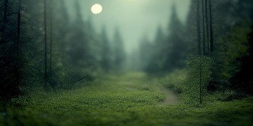 没有你时间寸步难行究竟是哪首歌？