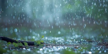 化成雨落下出自哪首歌？