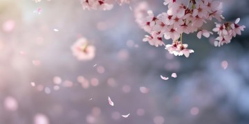 爱你爱我这句歌词出自哪首歌？