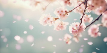 就算全世界要离开出自哪首歌？