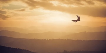 一曲大鹏歌究竟有何深意？