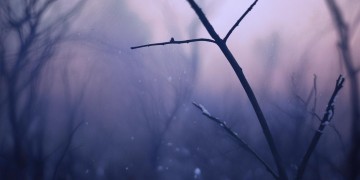 伤感文案的英文究竟是哪首歌？