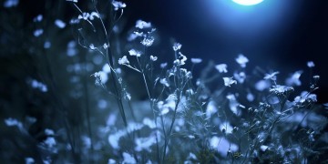 黑夜里的小宝贝究竟是哪首歌？