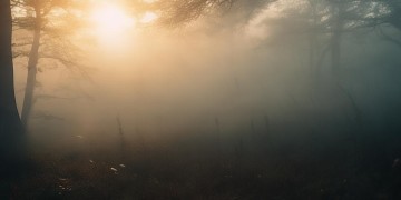 相逢时节太压抑究竟是什么歌？